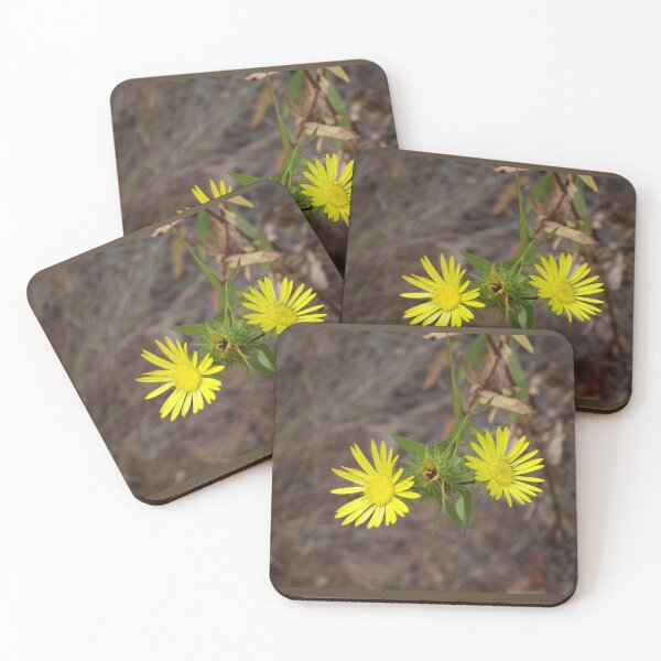 Item preview, Narrowleaf Gumweed Wildflowers designed and sold by Blossom-Breeze.