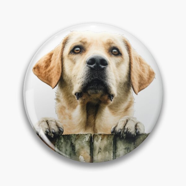 Item preview, Curious Yellow Lab  designed and sold by reddogbuckeye.