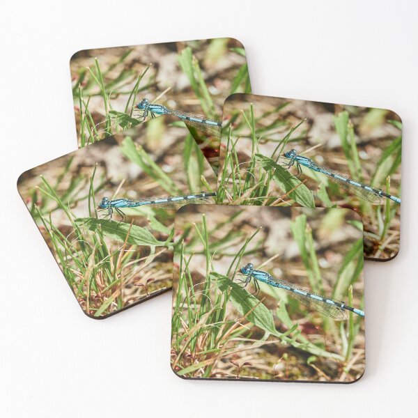 Item preview, Dragonfly, Feasting designed and sold by Eidetic Photos.