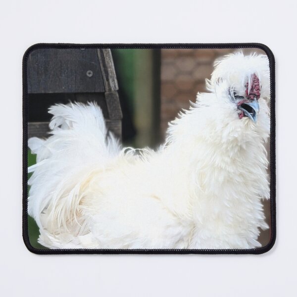 Item preview, Fluffy White Chicken Outdoors designed and sold by Stacey's unpromised.