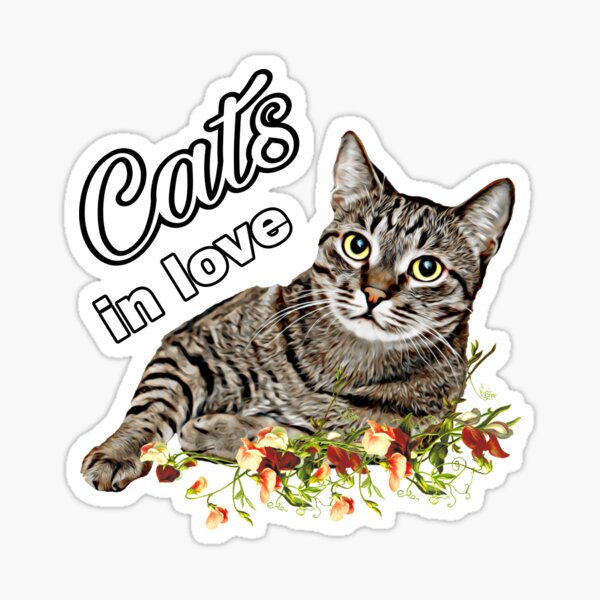 Artikel-Vorschau von Katzen Shirt, Cats,  Katze, designt und verkauft von Bonita0105.