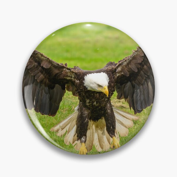 Item preview, Nice Landing designed and sold by pixrit.