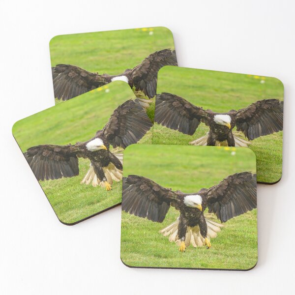 Item preview, Nice Landing designed and sold by pixrit.
