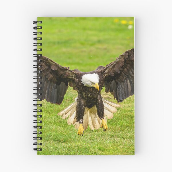 Item preview, Nice Landing designed and sold by pixrit.