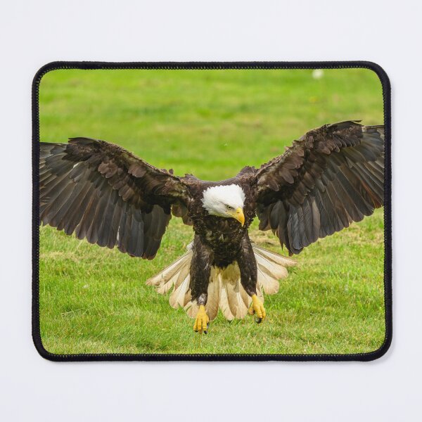 Item preview, Nice Landing designed and sold by pixrit.