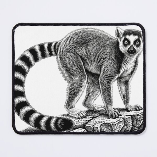 Item preview, Realistic bold line lemur on rock designed and sold by Minimalisticaly.