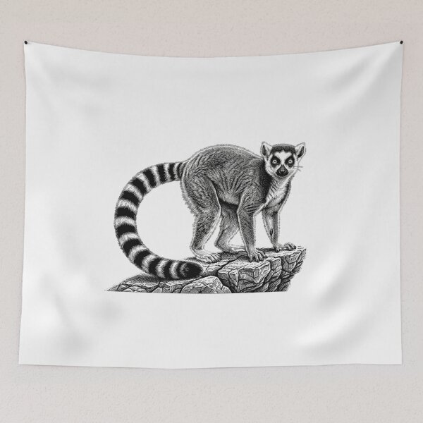 Item preview, Realistic bold line lemur on rock designed and sold by Minimalisticaly.