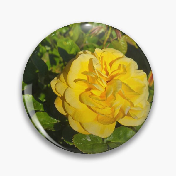 Item preview, Yellow Rose 2 designed and sold by jalfc46.