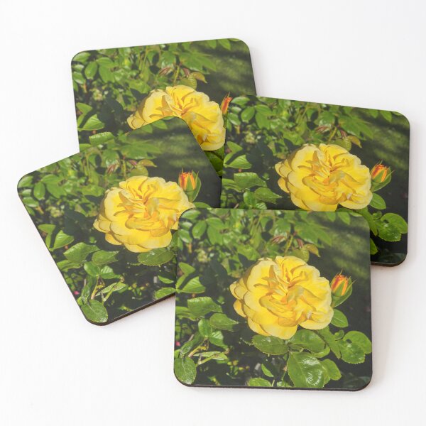 Item preview, Yellow Rose 2 designed and sold by jalfc46.