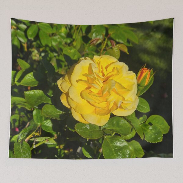 Item preview, Yellow Rose 2 designed and sold by jalfc46.