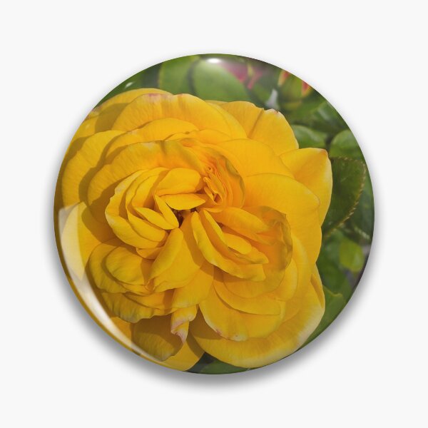 Item preview, Yello Rose 1 designed and sold by jalfc46.