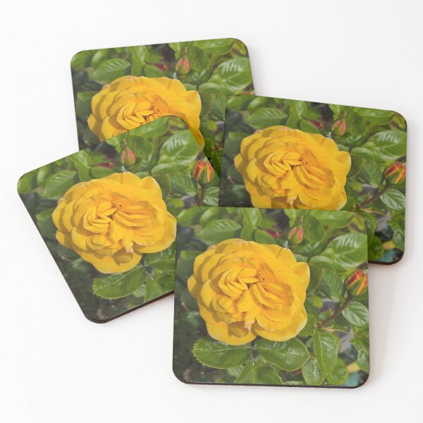 Item preview, Yello Rose 1 designed and sold by jalfc46.