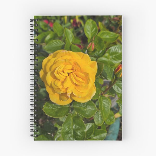 Item preview, Yello Rose 1 designed and sold by jalfc46.