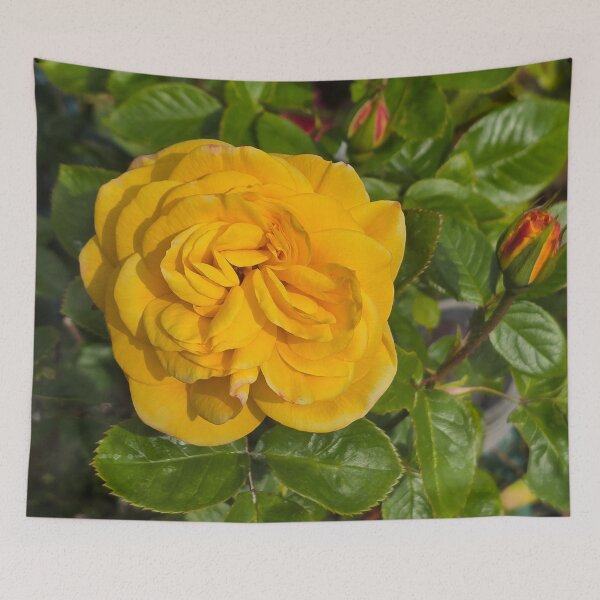 Item preview, Yello Rose 1 designed and sold by jalfc46.