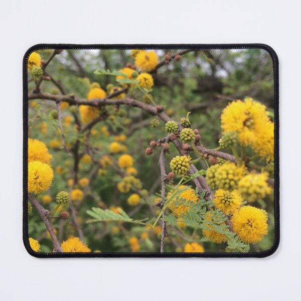 Item preview, Central Texas Flora - Yellow designed and sold by Tiny Birdie.
