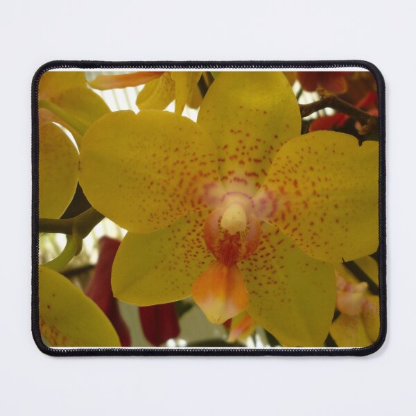 Item preview, Beautiful orchid designed and sold by Farbfroh.