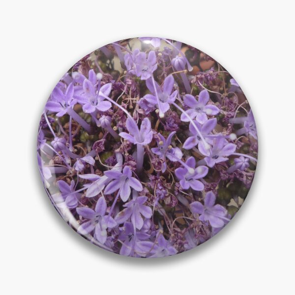Item preview, Floral splendor designed and sold by Farbfroh.