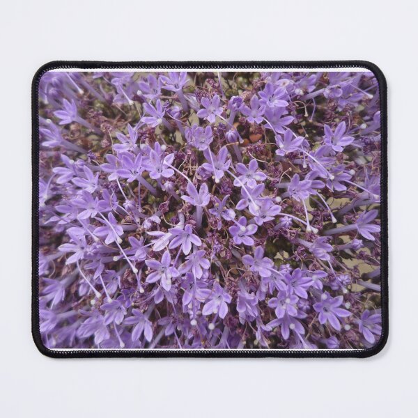Item preview, Floral splendor designed and sold by Farbfroh.