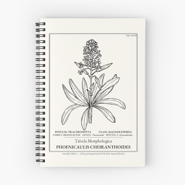 Item preview, Dagger Pod Mustard Botanical Art designed and sold by NuvoraNest.