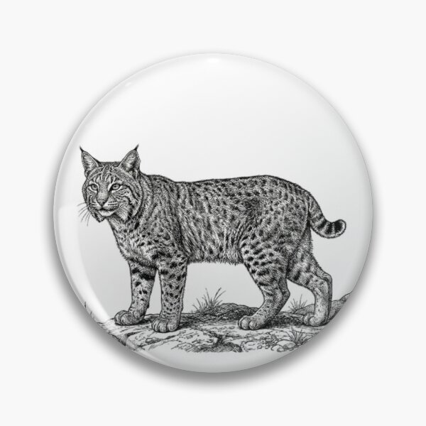 Item preview, Realistic fine line black and white bobcat designed and sold by Minimalisticaly.