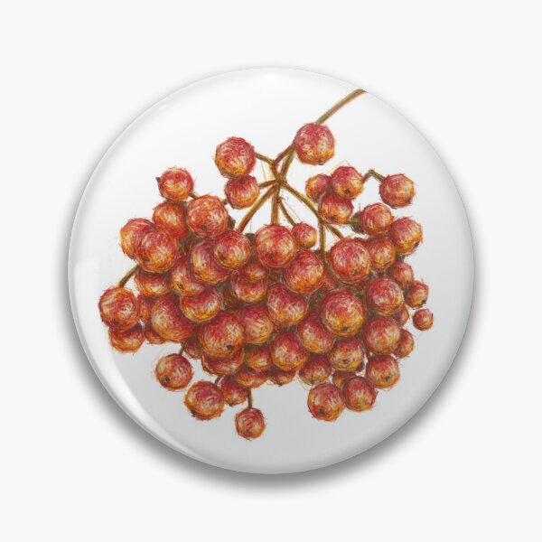 Item preview, Guelder Rose Water Elder European Cranberrybush Sketch | Rough Colour Experimenting designed and sold by StrangeAndBeige.
