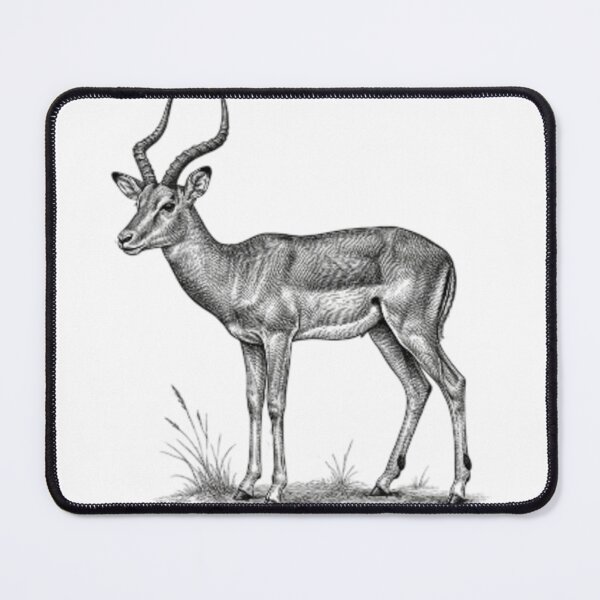 Item preview, Realistic fine line impala designed and sold by Minimalisticaly.