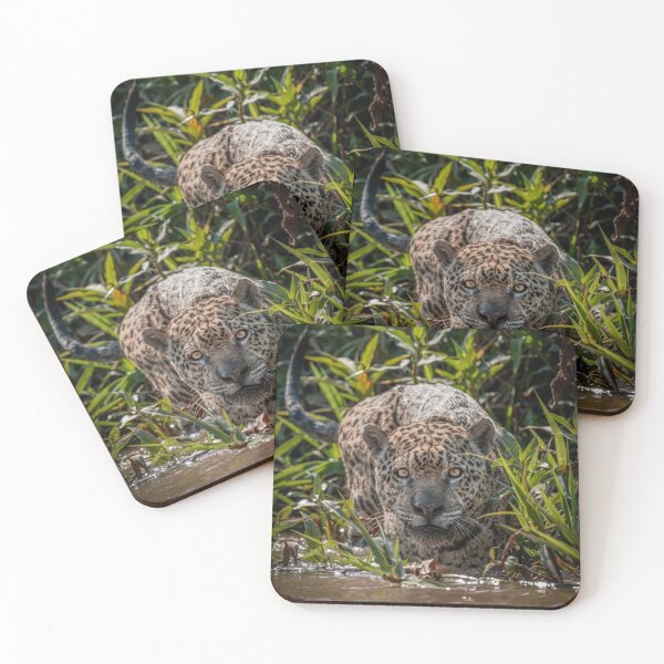 Item preview, Jaguar – Wild Style with Fierce Power designed and sold by Lellenatavarez.