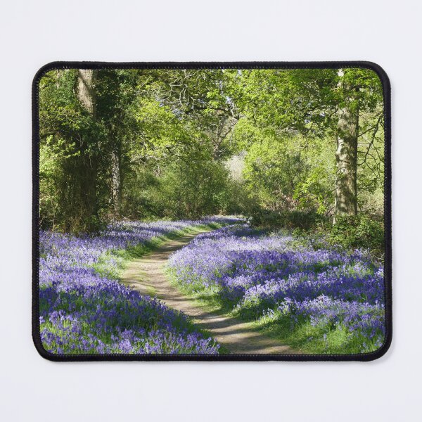 Item preview, Bluebell Woodland designed and sold by Chris Petty.