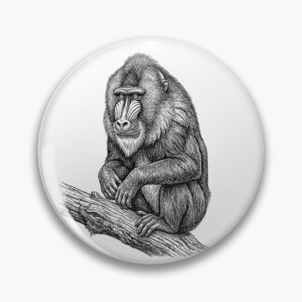 Item preview, Realistic fine line mandrill sitting designed and sold by Minimalisticaly.