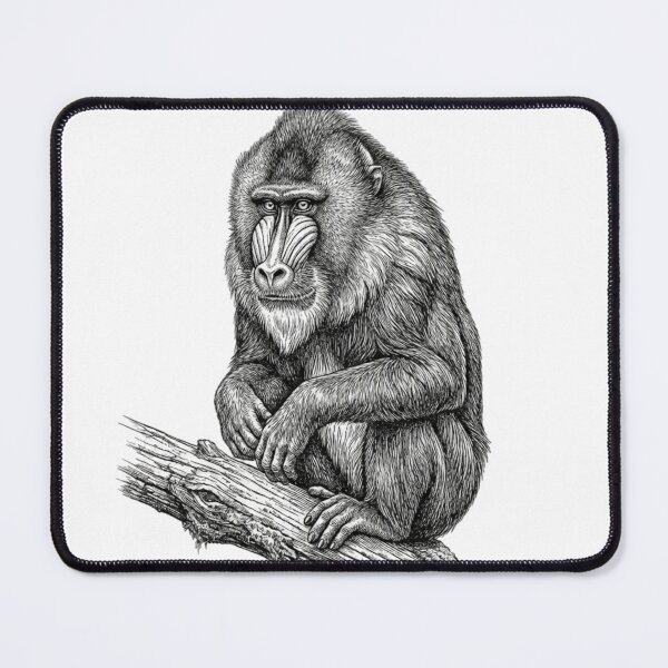 Item preview, Realistic fine line mandrill sitting designed and sold by Minimalisticaly.