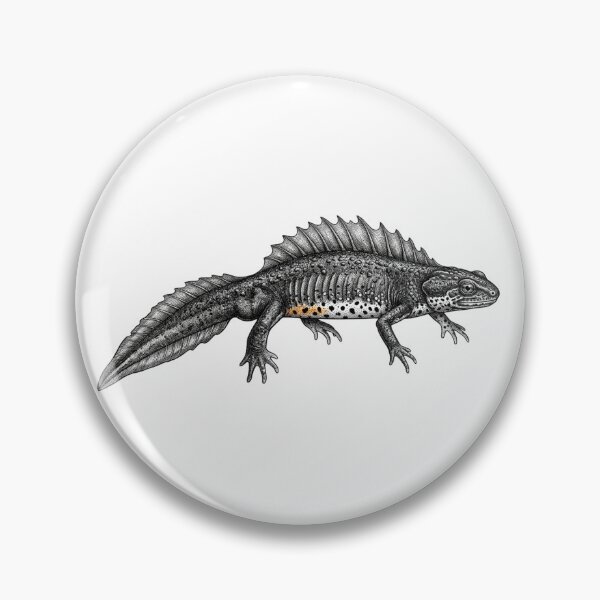 Item preview, Realistic high detail black and white crested newt designed and sold by Minimalisticaly.