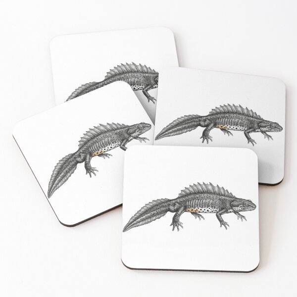Item preview, Realistic high detail black and white crested newt designed and sold by Minimalisticaly.