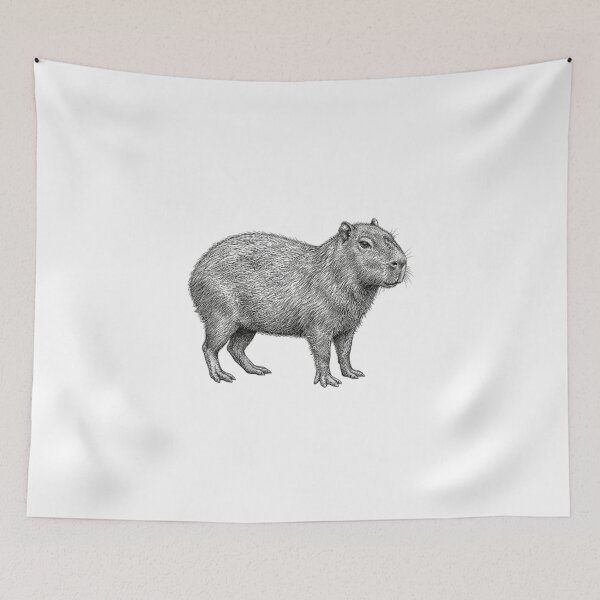 Item preview, Realistic high detail black and white capybara designed and sold by Minimalisticaly.
