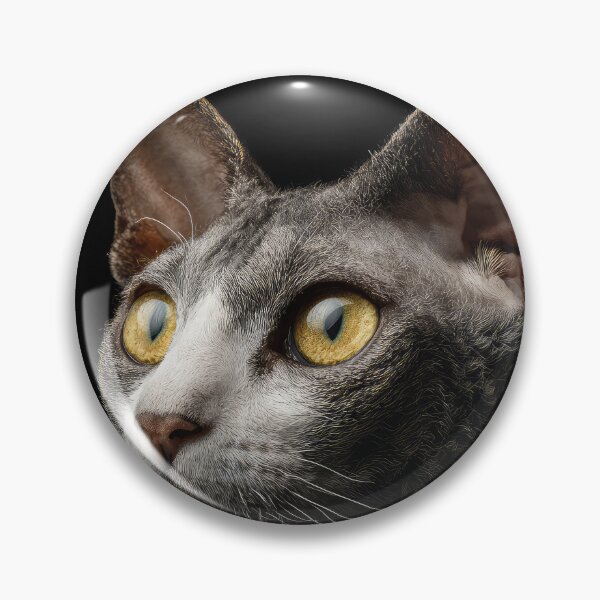Item preview, Cornish Rex Cat Portrait on Black designed and sold by Elisabeth Lucas.