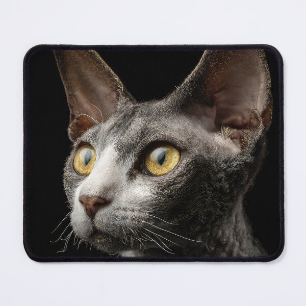 Item preview, Cornish Rex Cat Portrait on Black designed and sold by Elisabeth Lucas.