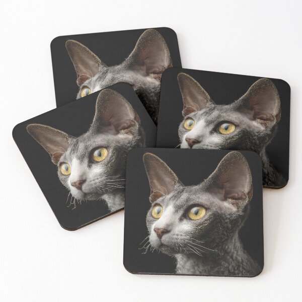 Item preview, Cornish Rex Cat Portrait on Black designed and sold by Elisabeth Lucas.