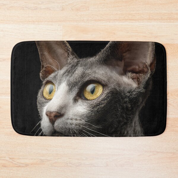 Item preview, Cornish Rex Cat Portrait on Black designed and sold by Elisabeth Lucas.