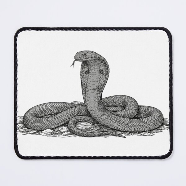 Item preview, Realistic high detail black and white king cobra designed and sold by Minimalisticaly.