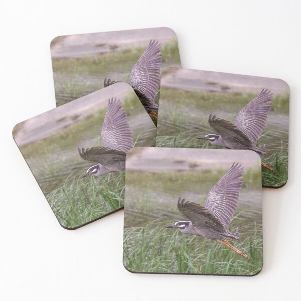 Item preview, Yellow-Crowned Night Heron in Flight designed and sold by Pondside-Pics.