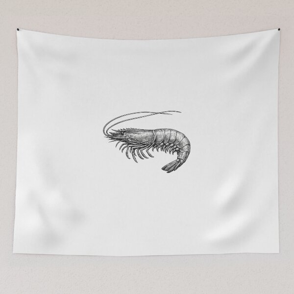 Item preview, Realistic minimalistic black and white shrimp designed and sold by Minimalisticaly.