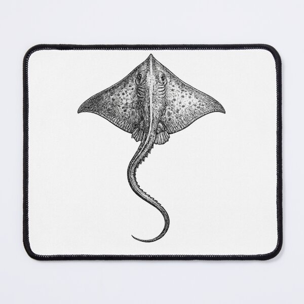 Item preview, Realistic minimalistic black and white stingray designed and sold by Minimalisticaly.