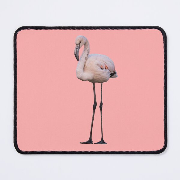 Item preview, Flamingo in Exotic Wetlands designed and sold by Lellenatavarez.