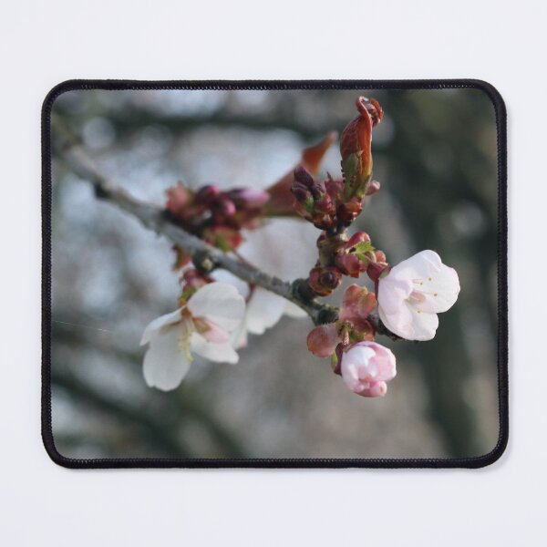 Item preview, Budding Blossoms designed and sold by KranKran.
