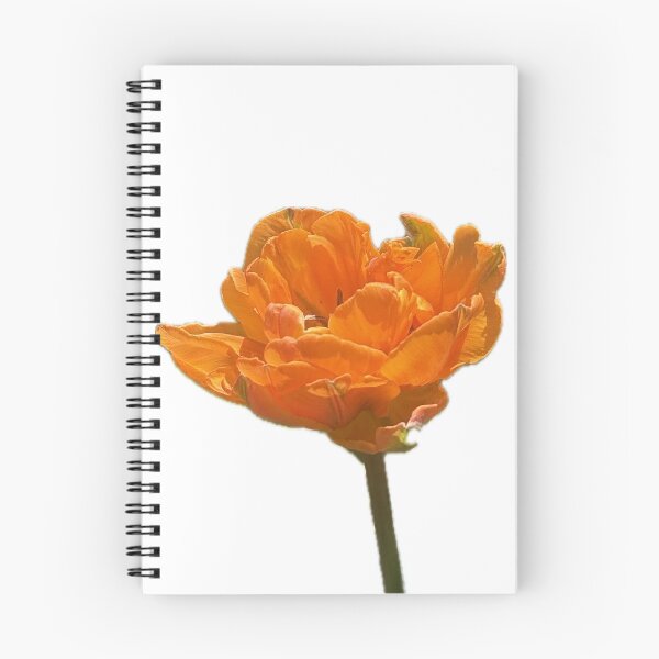 Item preview, Bright Orange Tulip Bloom Floral Nature Photo designed and sold by aadventures.