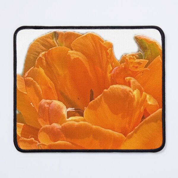 Item preview, Bright Orange Tulip Bloom Floral Nature Photo designed and sold by aadventures.