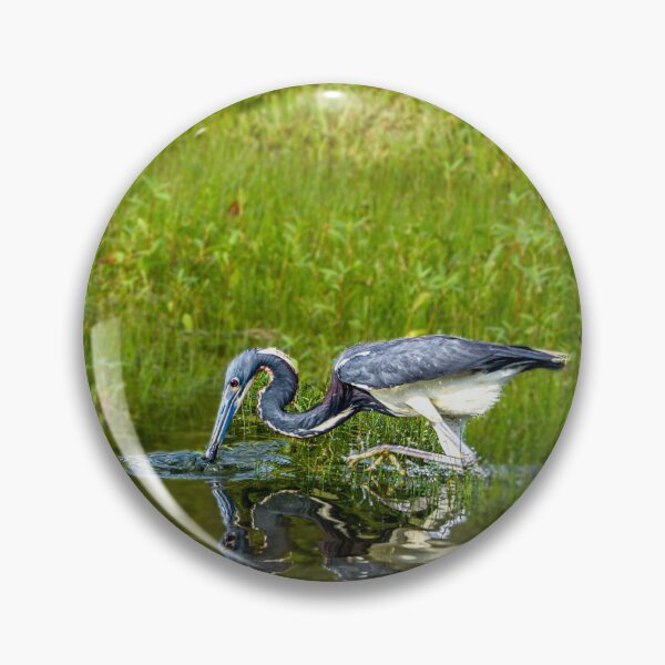 Item preview, Tricolor Heron Fishing in the Morning designed and sold by Pondside-Pics.