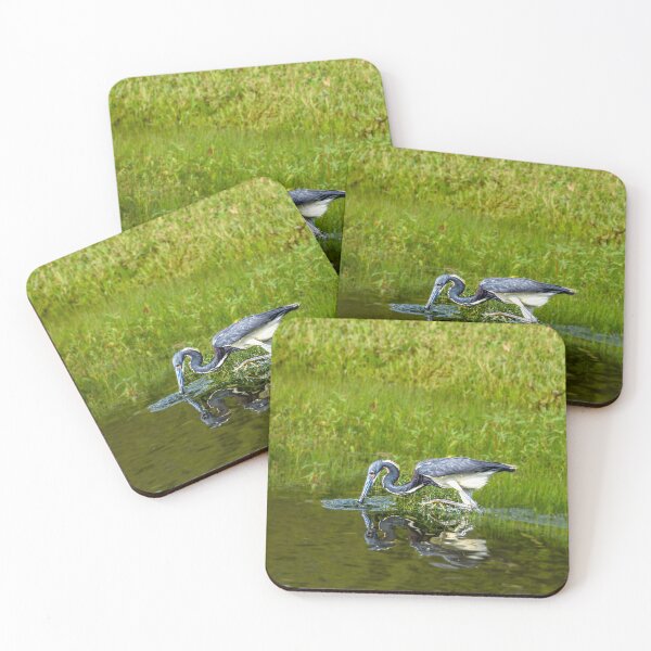 Item preview, Tricolor Heron Fishing in the Morning designed and sold by Pondside-Pics.