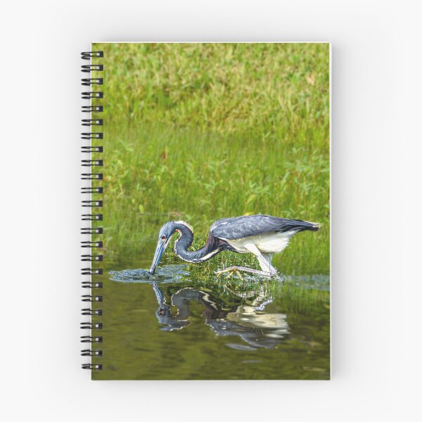 Item preview, Tricolor Heron Fishing in the Morning designed and sold by Pondside-Pics.