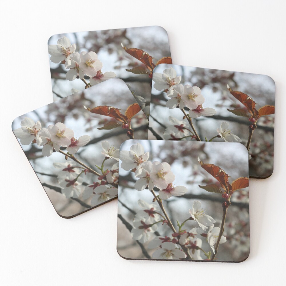 Item preview, Coasters (Set of 4) designed and sold by KranKran.