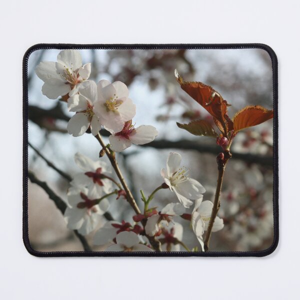 Item preview, Spring Bloom designed and sold by KranKran.